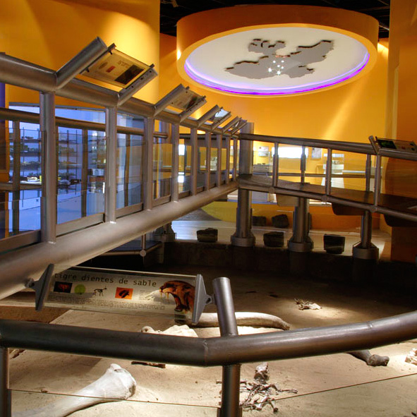 Visitar el Museo de Paleontología de Guadalajara – GUADALAJARA, MUSEOS
